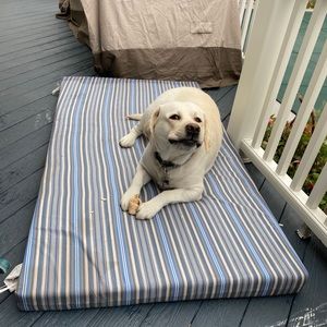 Meet your Posher, Vincent